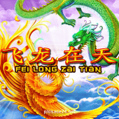 Fei Long Zai Tian Game Slot Image
